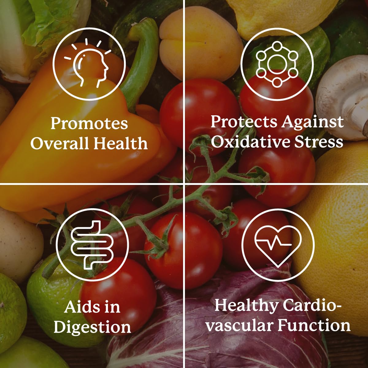 Nature's Sunshine etiqueta nutricional legible con lista de minerales y aminoácidos
