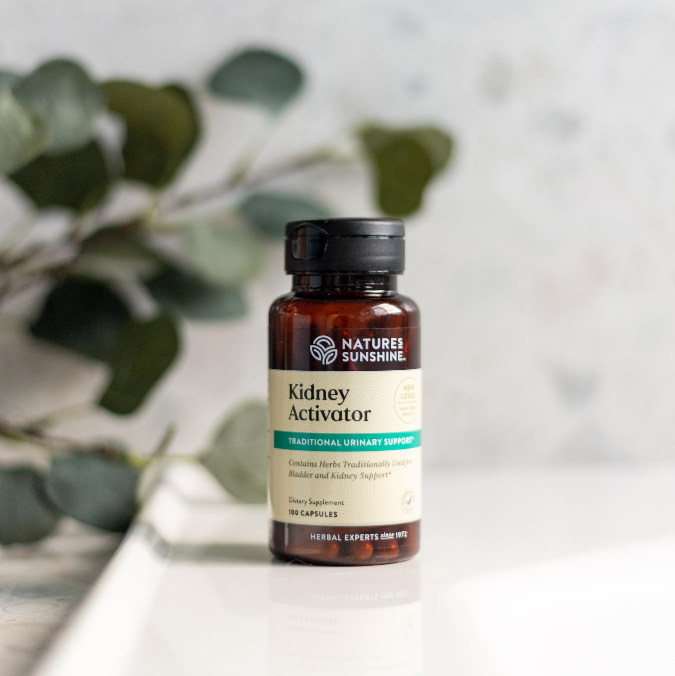Nature's Sunshine ingredientes naturales sobre madera, transparencia vegetal