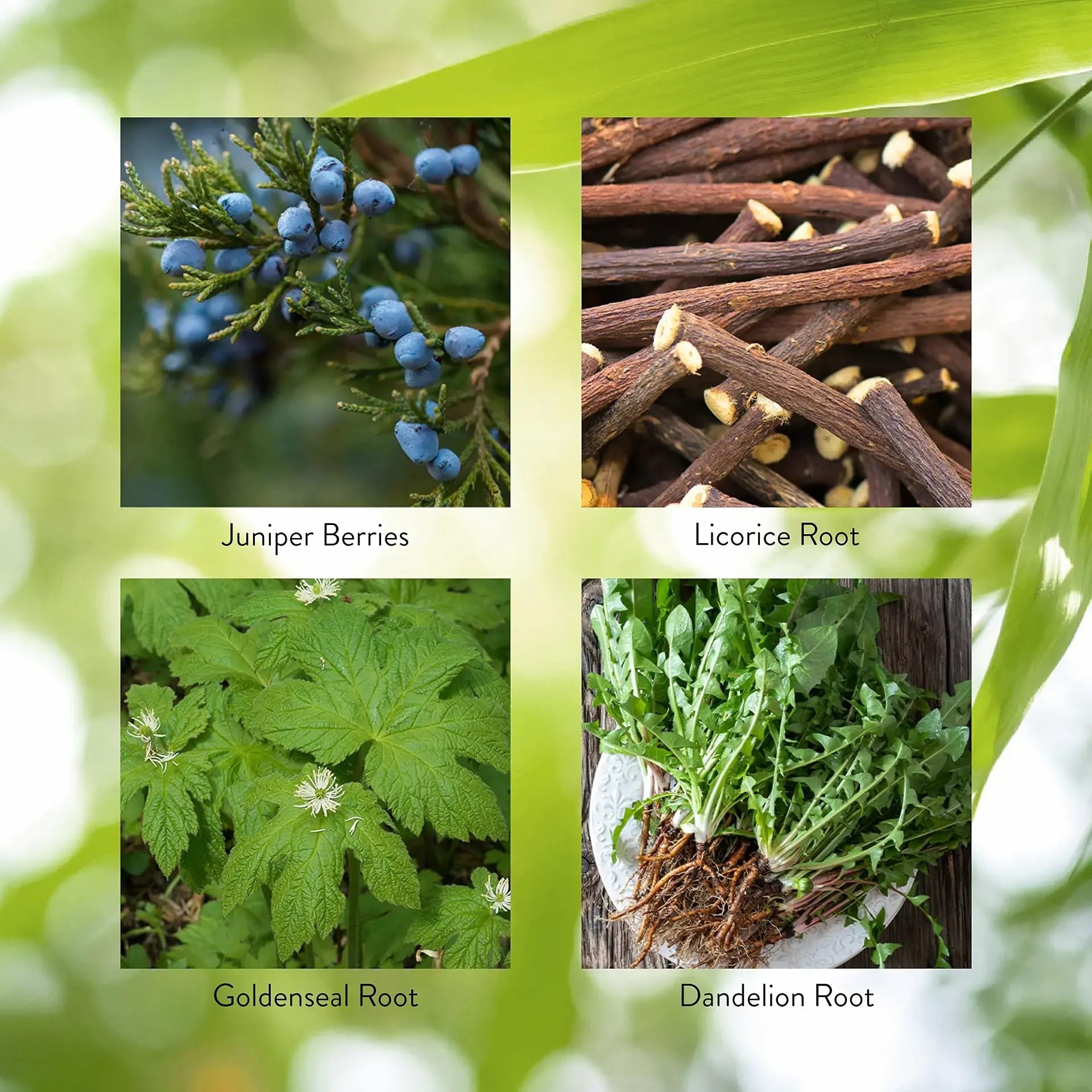 Nature's Sunshine primer plano de ingredientes secos que refleja origen natural
