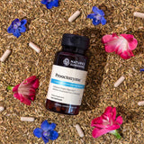 Nature's Sunshine ingredientes herbales que complementan las enzimas