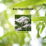 Detalle de etiqueta Nature's Sunshine con ingredientes estandarizados y uso claro