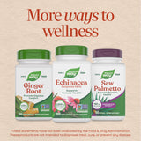 Nature's Way polvo de Echinacea en detalle para apreciar origen herbal