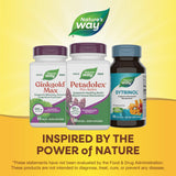 Nature's Way escena lifestyle relajación cerebral y bienestar en hogar