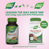 Nature's Way cápsula abierta con polvo de maca detallado para dosificación