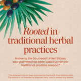 Nature's Way polvo de saw palmetto en primer plano, beneficio ingrediente natural