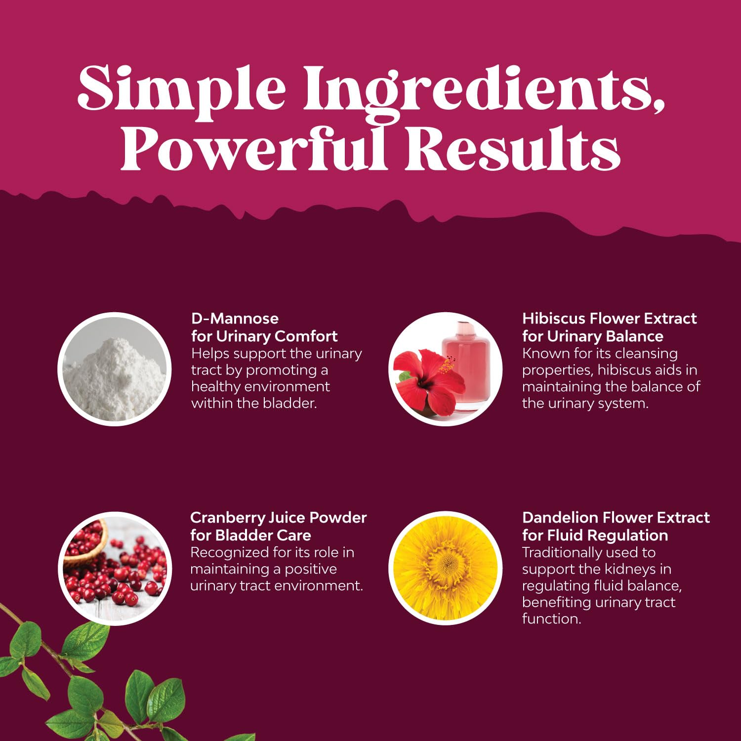 Natures Craft etiqueta con información de ingredientes y dosificación clara