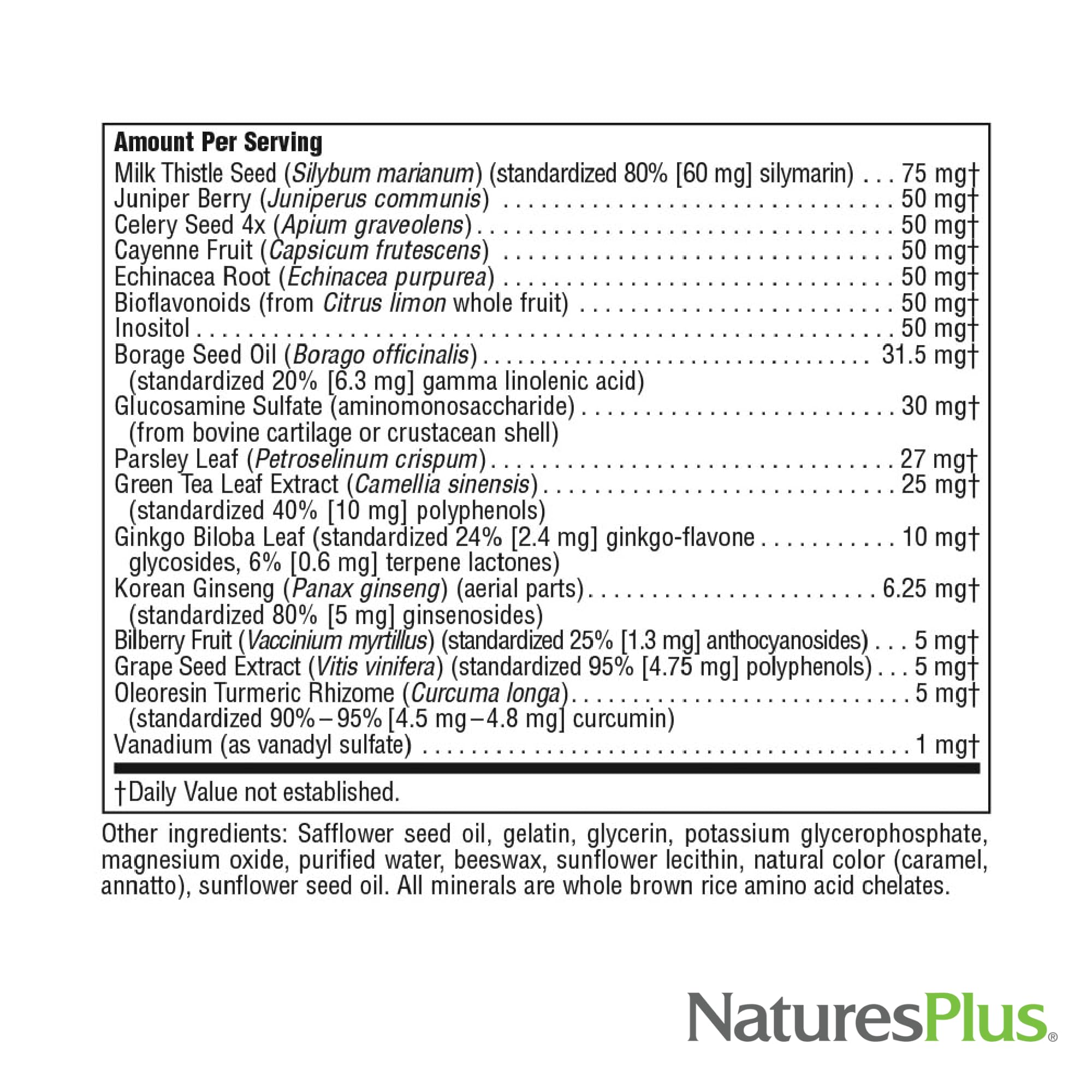 NaturesPlus softgel comparado con moneda para visualizar tamaño práctico