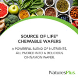 Nature's Plus tableta en mano escala del producto conveniente para viajes