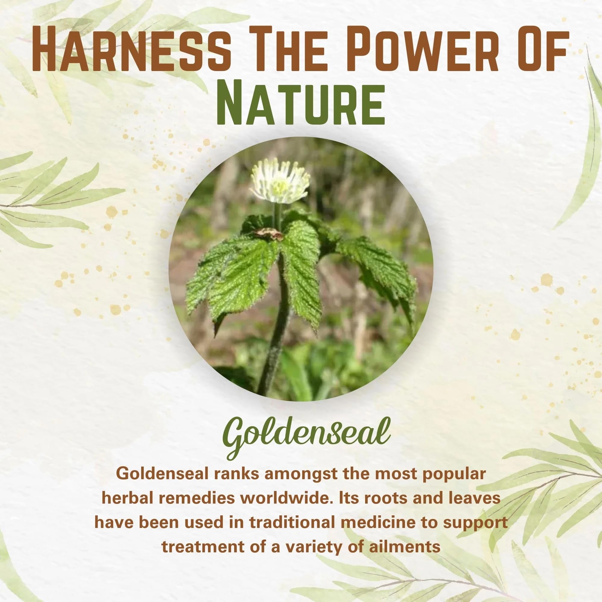 Naturfi Organic polvo en batido preparado, conveniencia para bebidas diarias