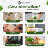 NaturoBliss aceite en difusor promoviendo ambiente aromático