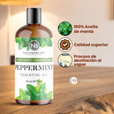 NaturoBliss ambiente relajante usando aceite para aromaterapia