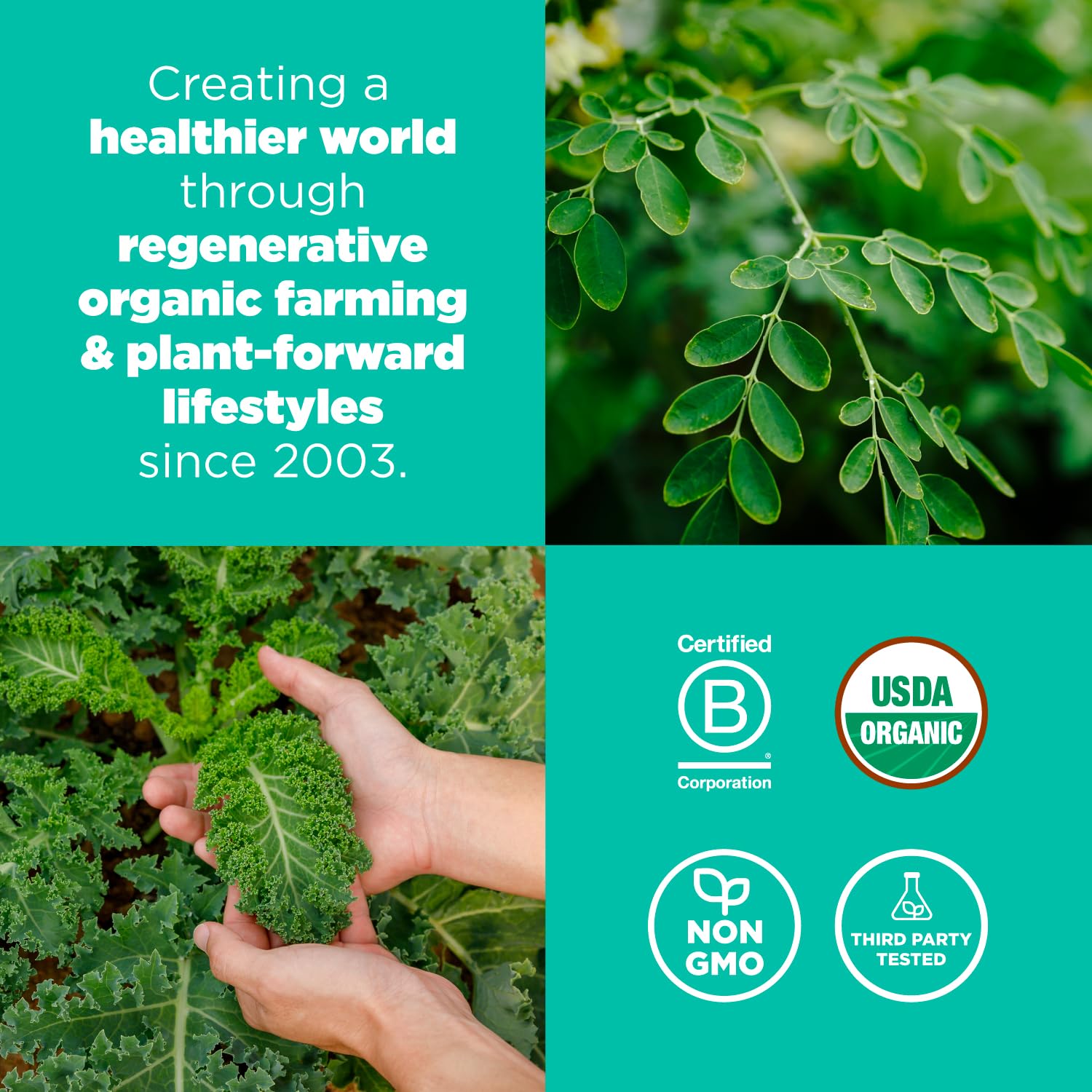 Navitas Organics detalle de etiqueta con ingredientes y sellos de calidad