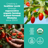 Navitas Organics, mezcla de trail mix con goji para un snack energizante