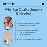 Needed cápsula junto a una moneda para comparar tamaño y facilidad de toma