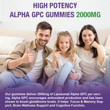 Nelishine presentación 2 pack ideal para ahorro y continuidad