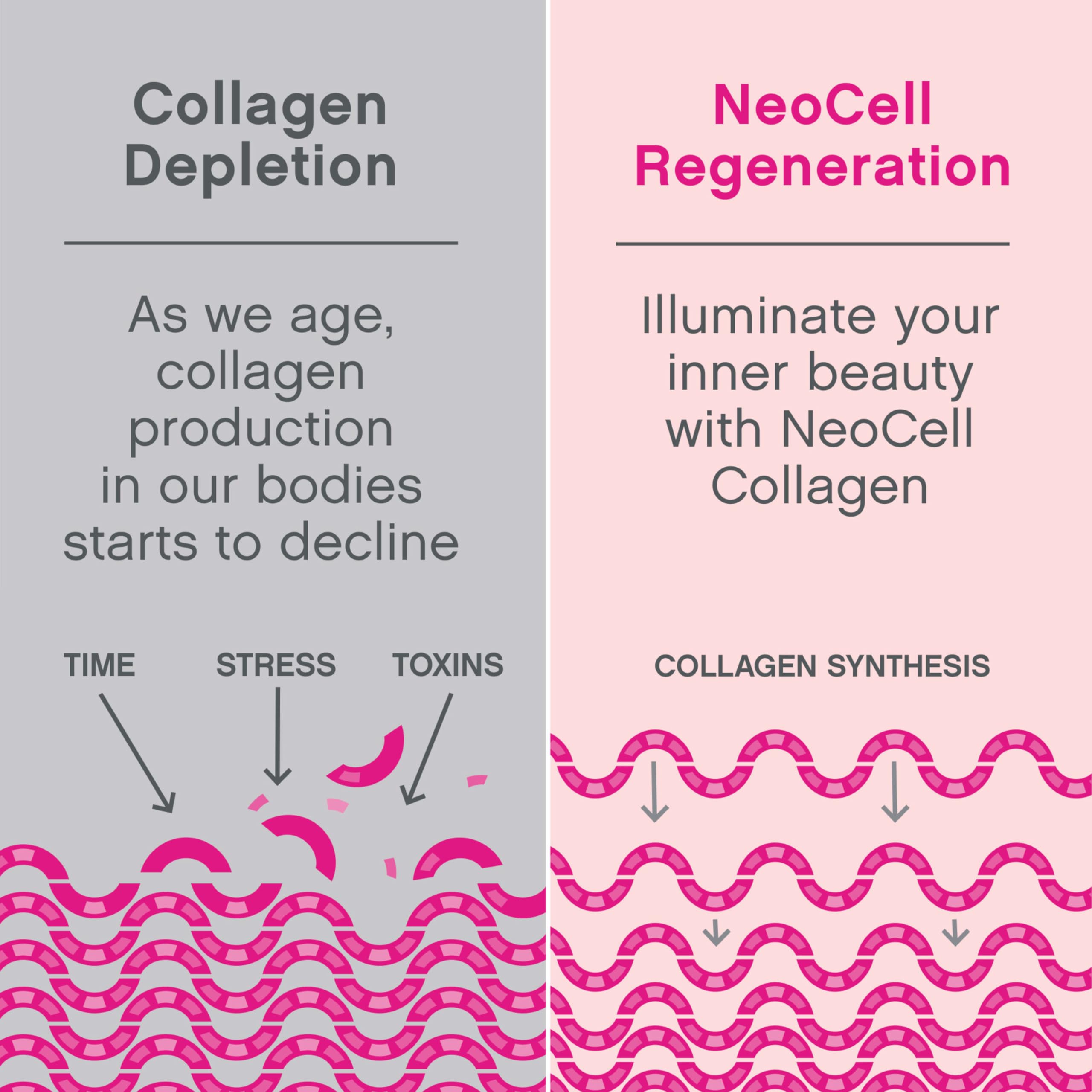 NeoCell ingredientes clave presentados: colágeno, ácido hialurónico, vitamina C