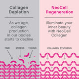 NeoCell ingredientes clave presentados: colágeno, ácido hialurónico, vitamina C