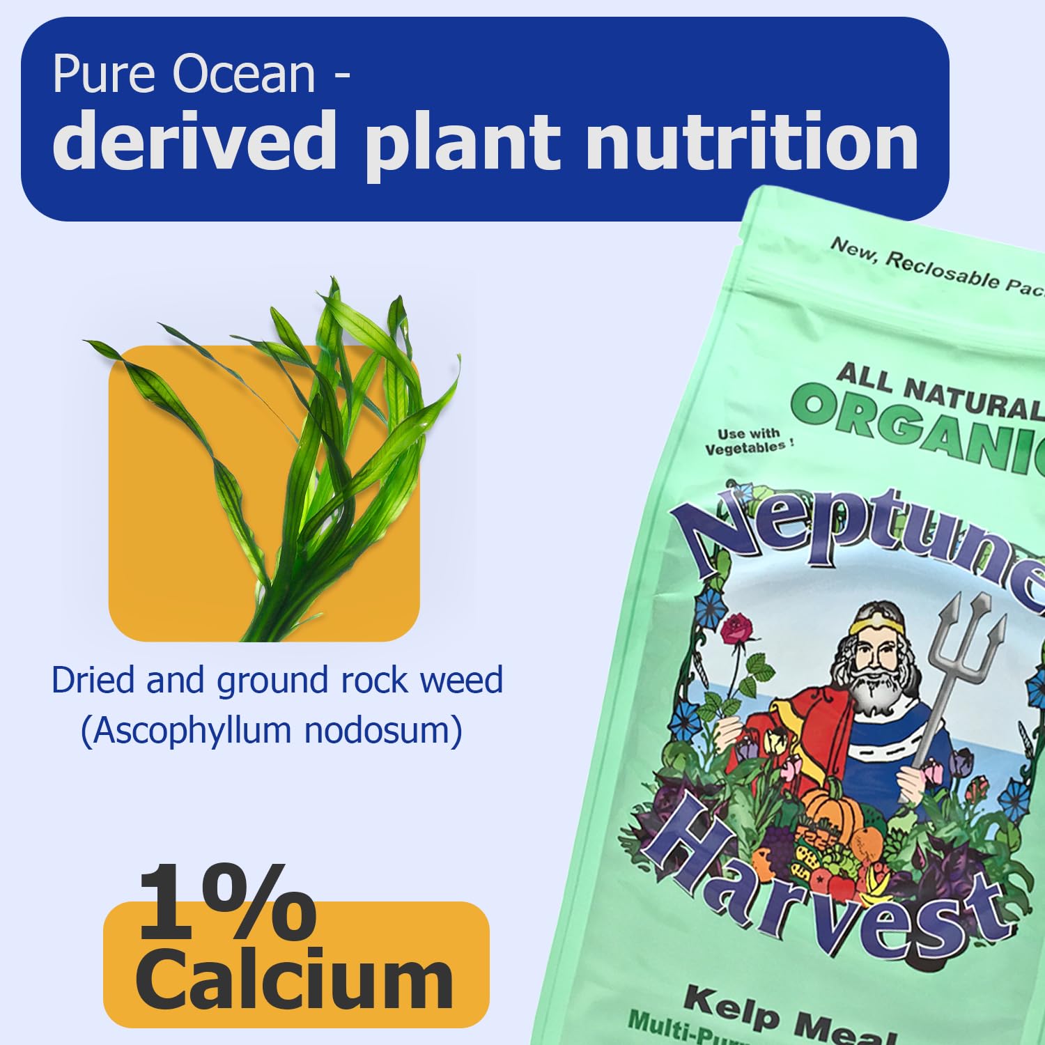 Neptune’s Harvest aplicación en maceta con manos, mejora estructura del sustrato