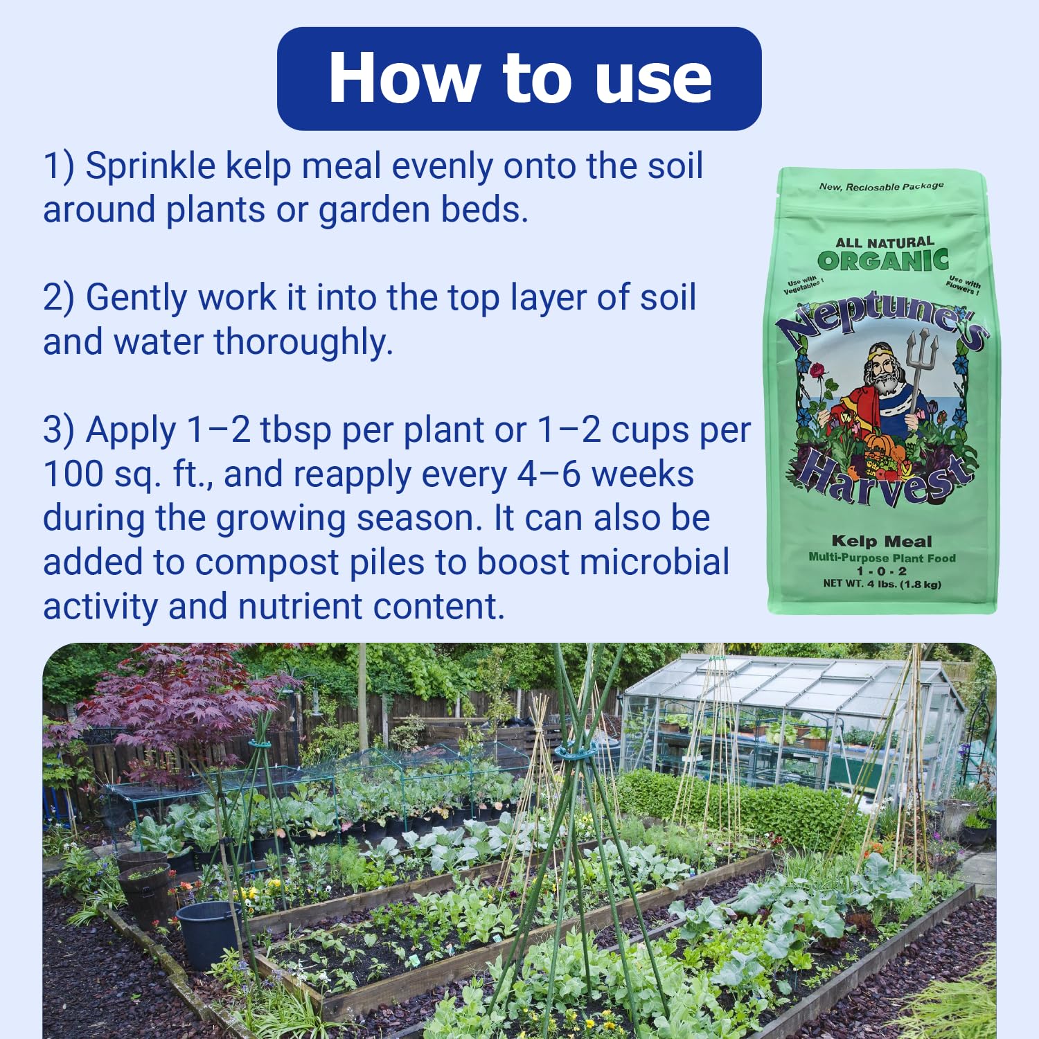 Neptune’s Harvest en jardín de vegetales vigorosos, apoya crecimiento orgánico