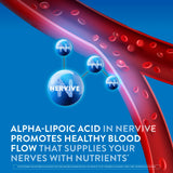Nervive ingredientes principales con ilustración de ALA y vitaminas B para apoyo nervioso
