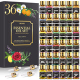 NESCCI vista frontal del set de 36 frascos para experimentar aromas