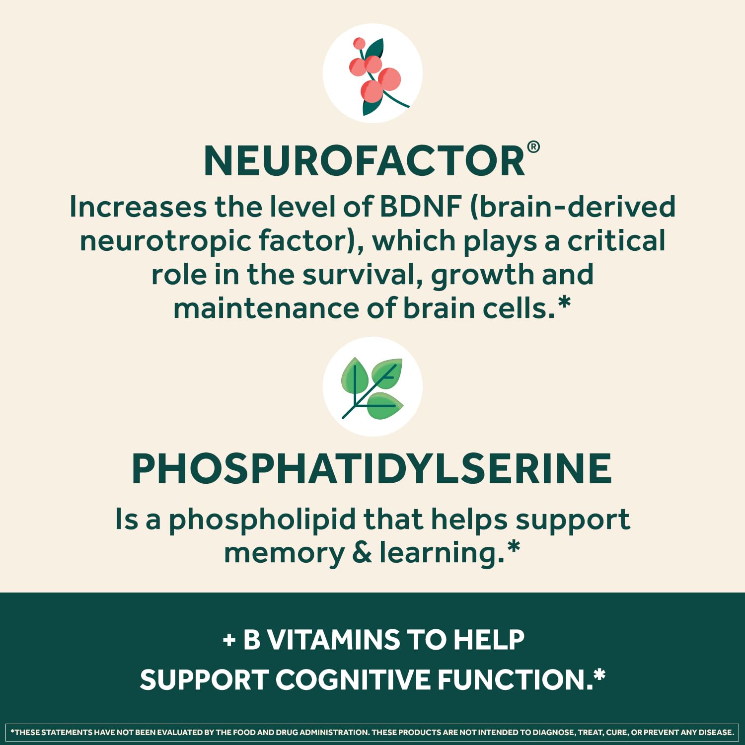 NEURIVA etiqueta de ingredientes destacando Neurofactor y fosfatidilserina
