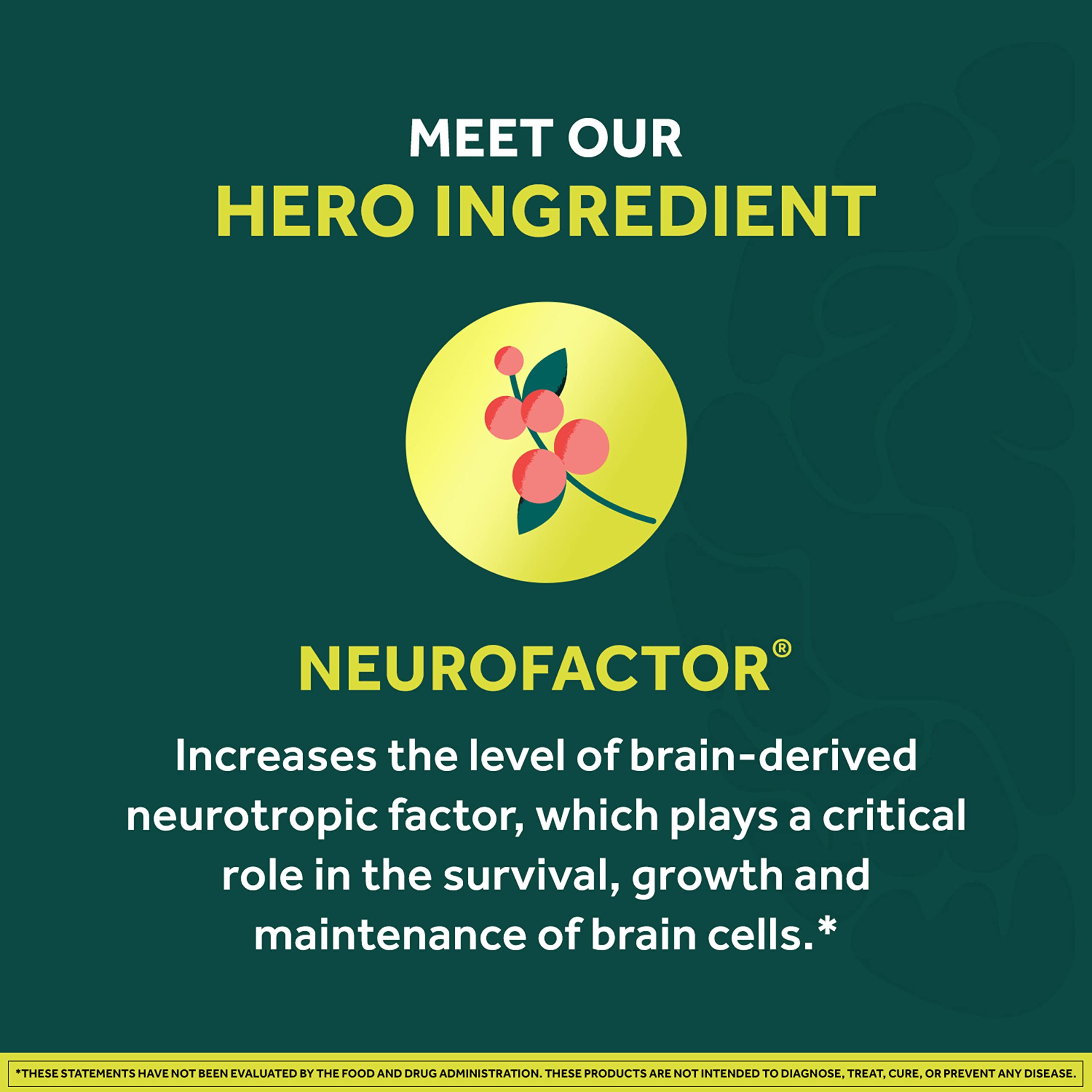 NEURIVA etiqueta de ingredientes destacando Neurofactor y vitamina B12