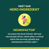 NEURIVA etiqueta de ingredientes destacando Neurofactor y vitamina B12