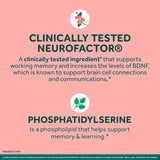 NEURIVA imagen conceptual de Neurofactor y cereza de café con apoyo cerebral