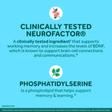 NEURIVA Plus fosfatidilserina vegetal resaltando apoyo a memoria y aprendizaje