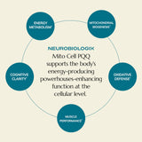 Neurobiologix comparación de tamaño de botella para escala visual