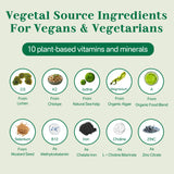 NEVISS ilustración de Omega 3 vegetal en núcleo líquido biodisponible