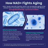 NEVISS etiqueta con lista de ingredientes y certificaciones, ofrece transparencia de calidad