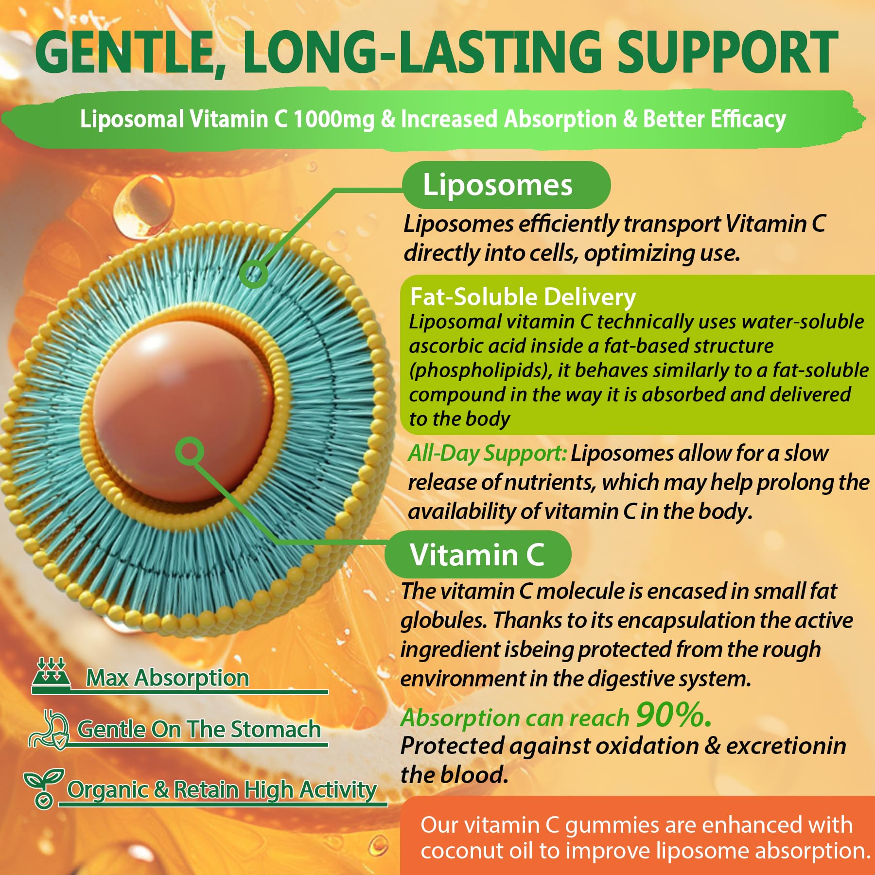 NEVISS acercamiento al relleno liposomal, protección y absorción