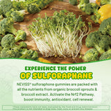 NEVISS ingredientes superalimentos agrupados, aporte nutritivo