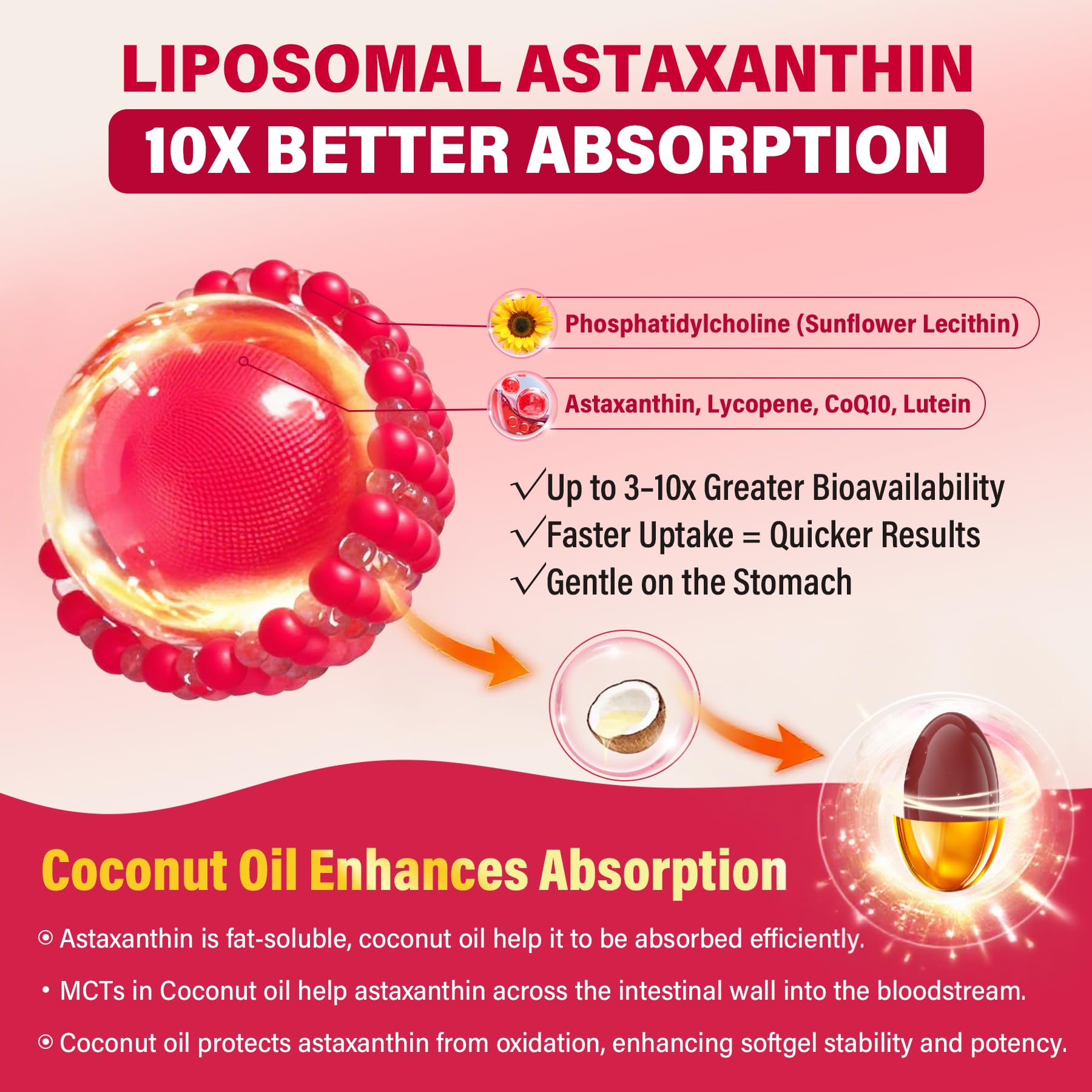 NEVISS textura del contenido liposomal demostrando absorción mejorada