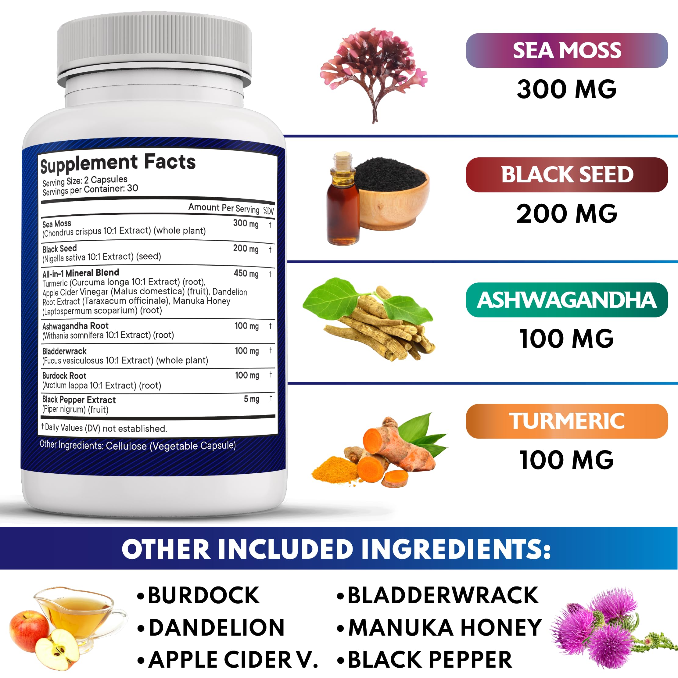 NEW AGE textura del polvo de sea moss mostrando origen natural mineral