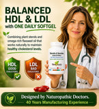 NEW ROOTS HERBAL semillas de linaza y plant sterols evidenciando origen vegetal