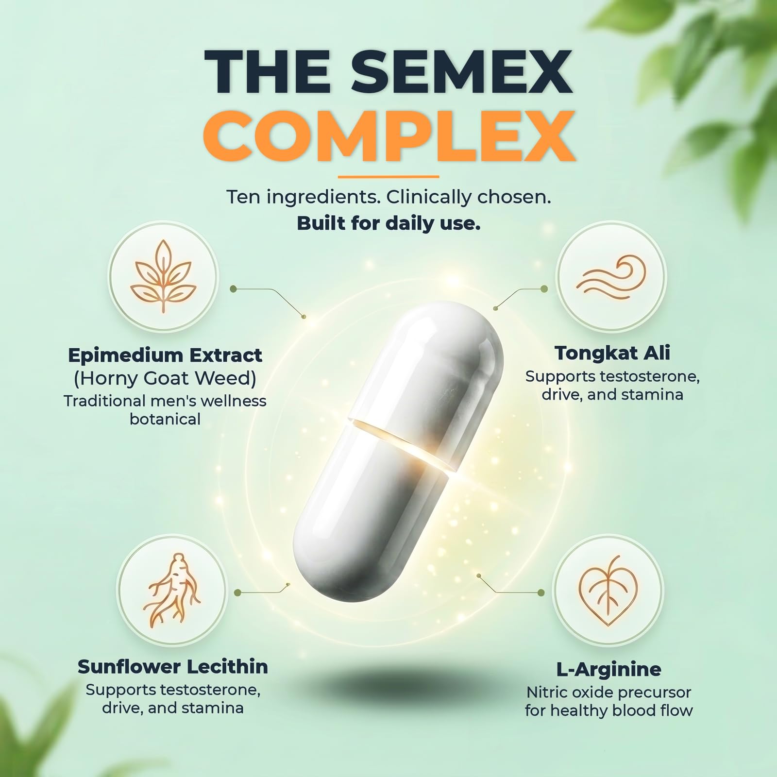 Newt SEMEX primer plano de la cápsula que muestra textura y calidad de formulación
