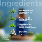 Nexon Botanics aceite en mano para apreciar textura y pureza