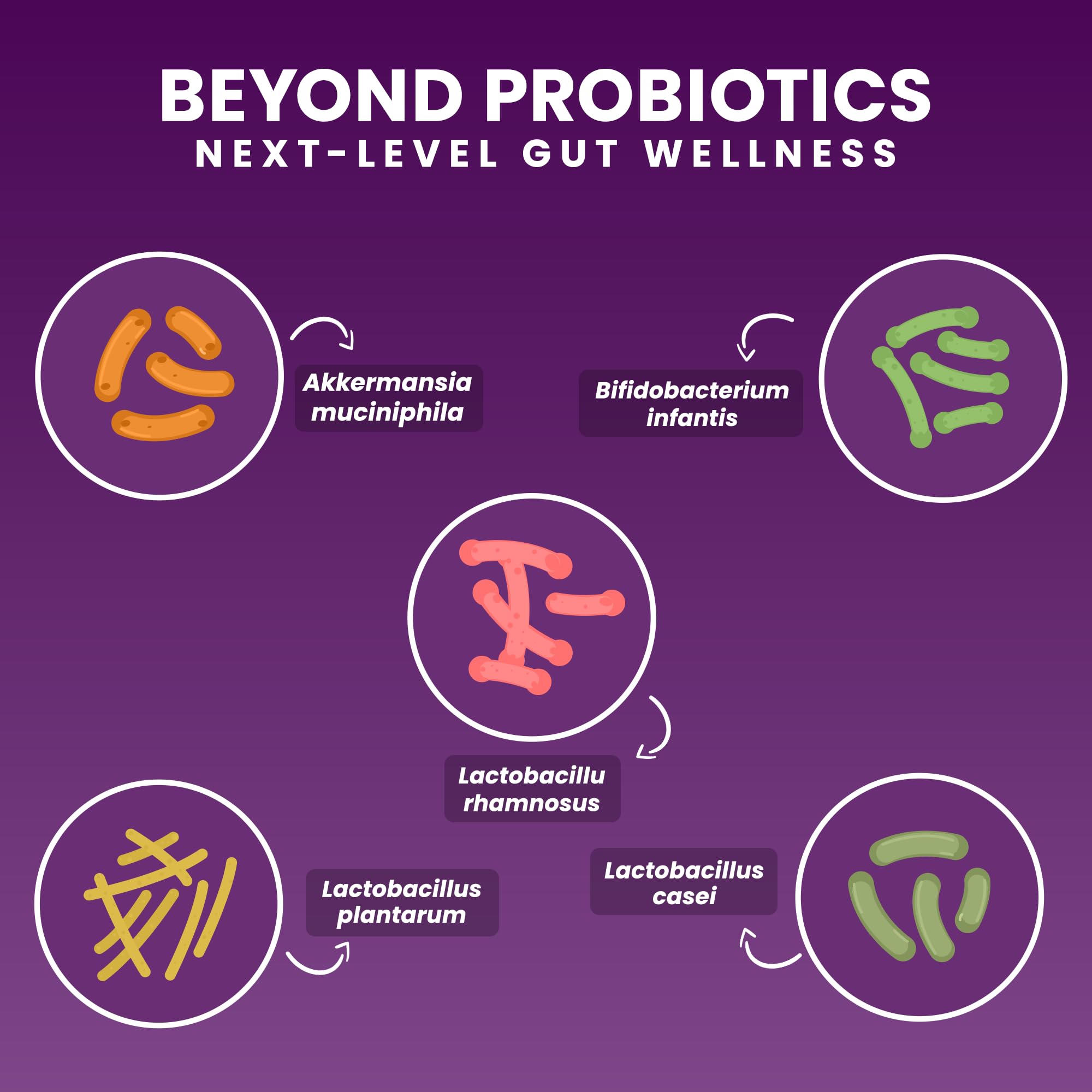 NEXT-MICROBIOME frasco con 30 tabletas indicando cantidad y escala