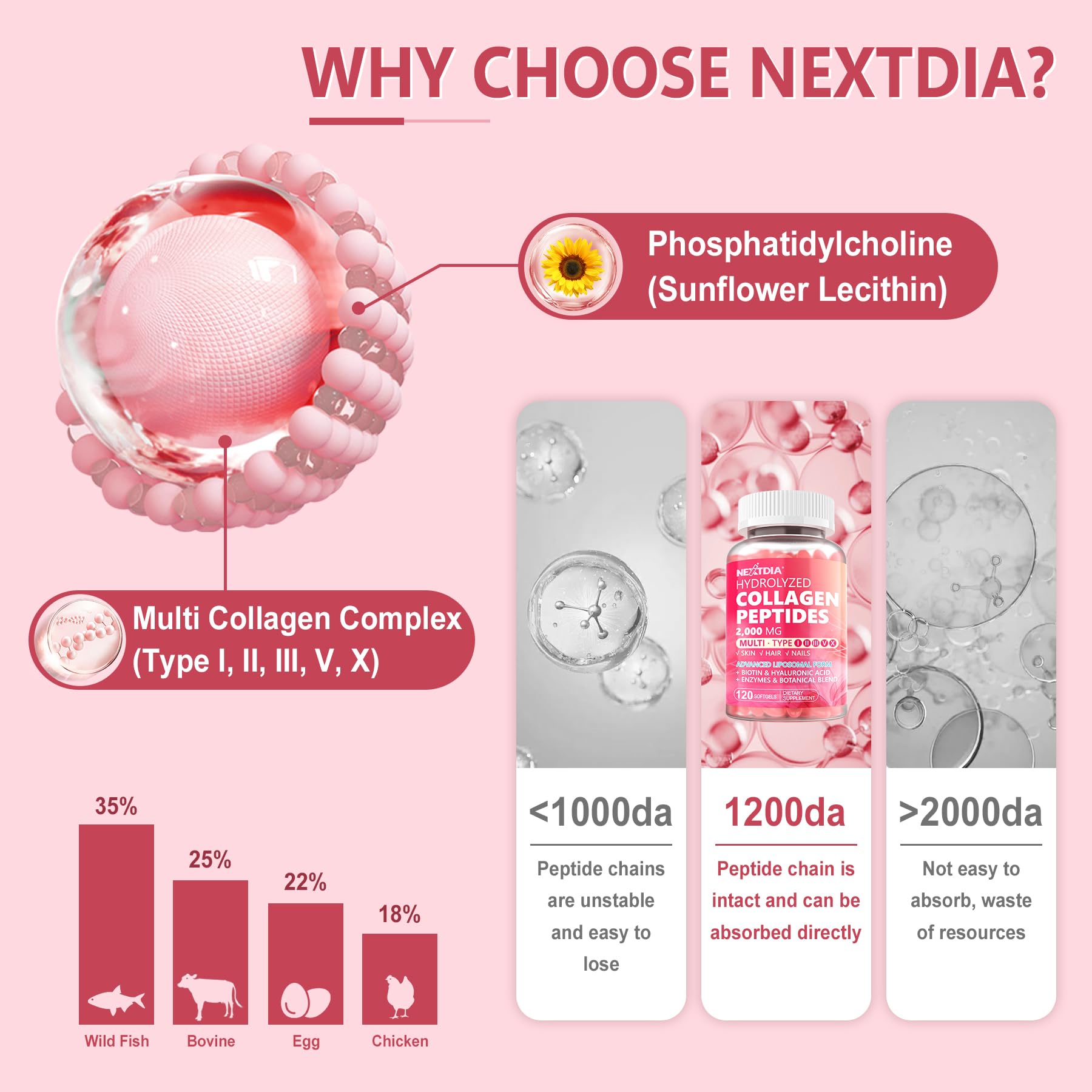 Nextdia cápsula en mano para comparar escala y tamaño cómodo