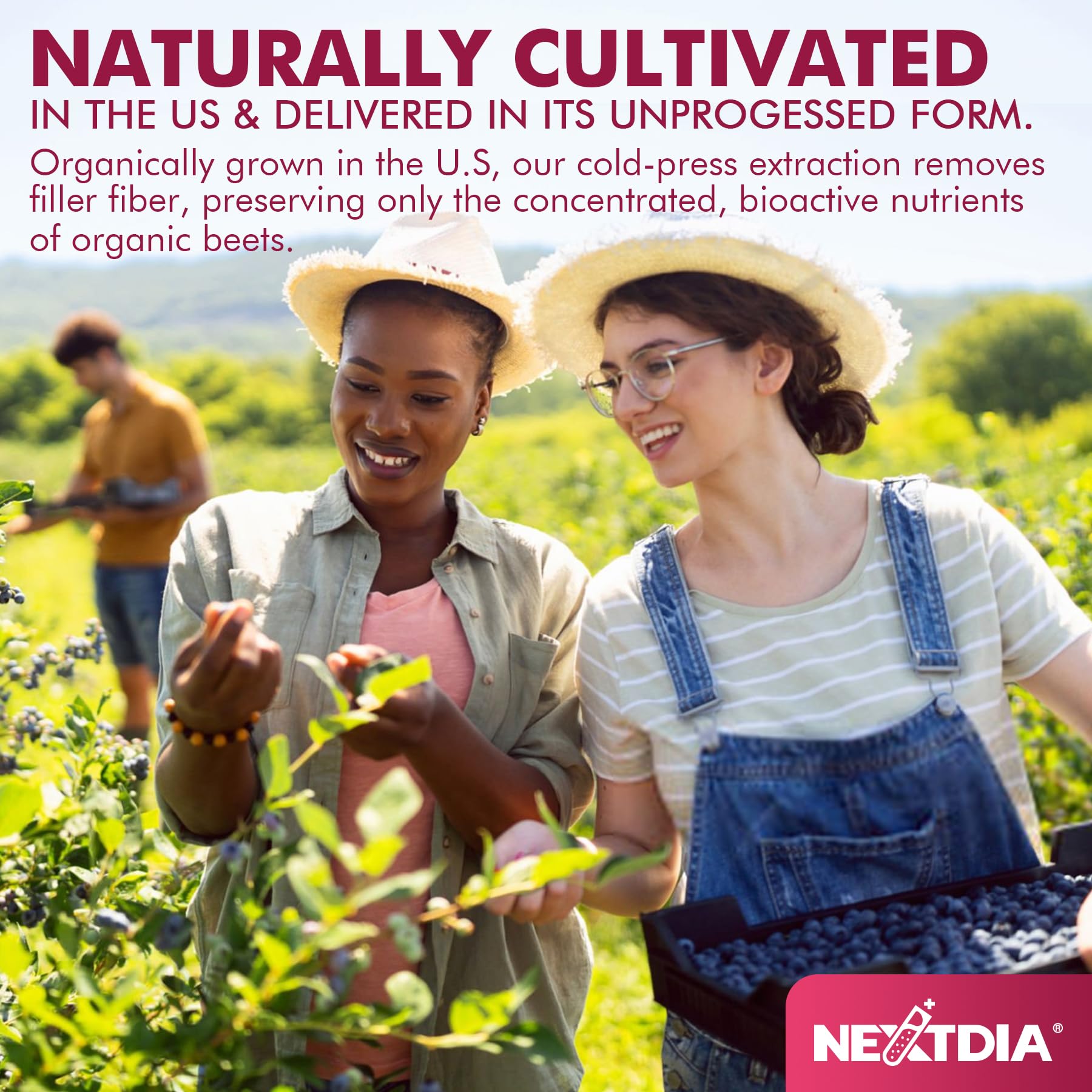 Nextdia ingredientes y origen sostenible de remolacha resaltando pureza del extracto