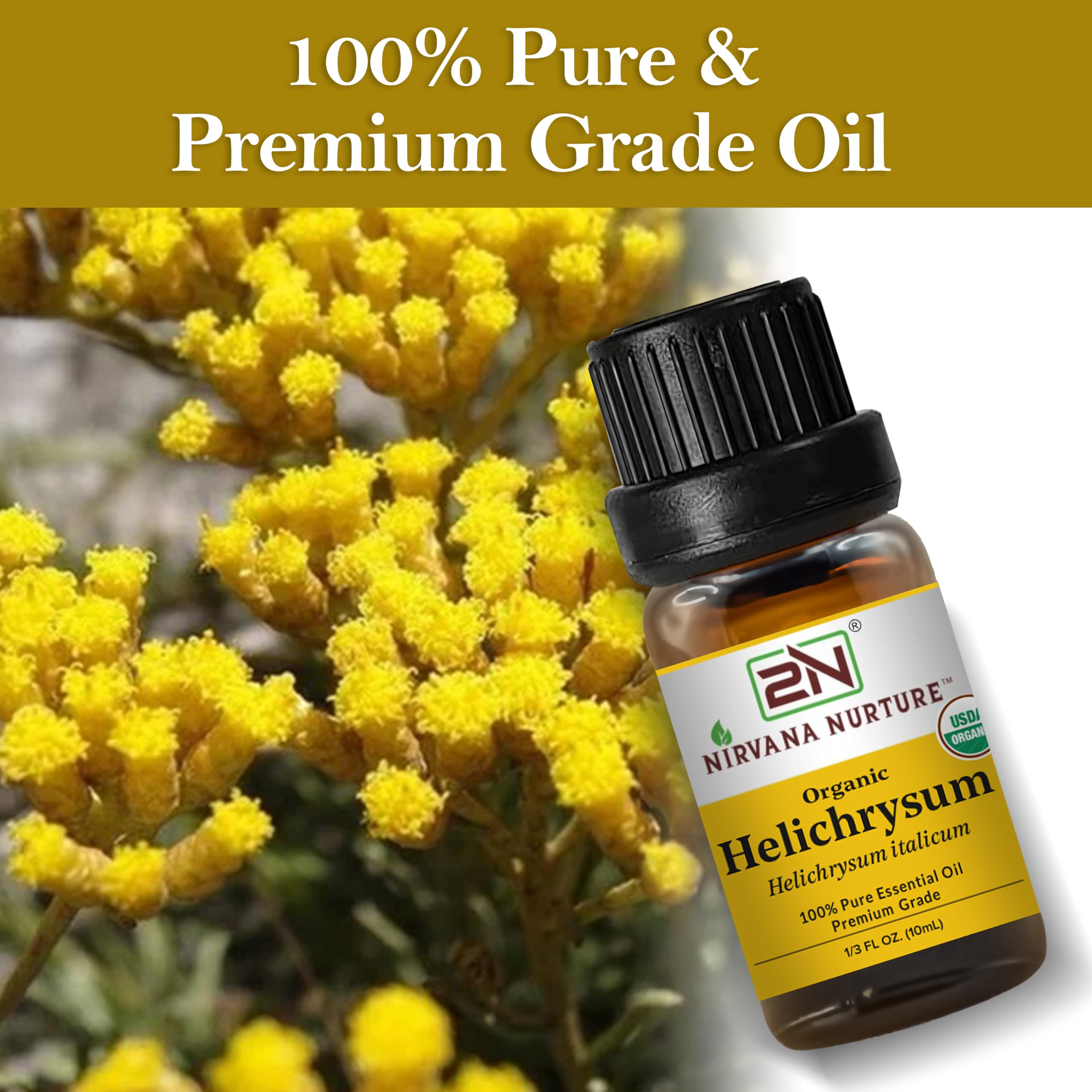Nirvana Nurture flor de Helichrysum que ilustra origen botánico