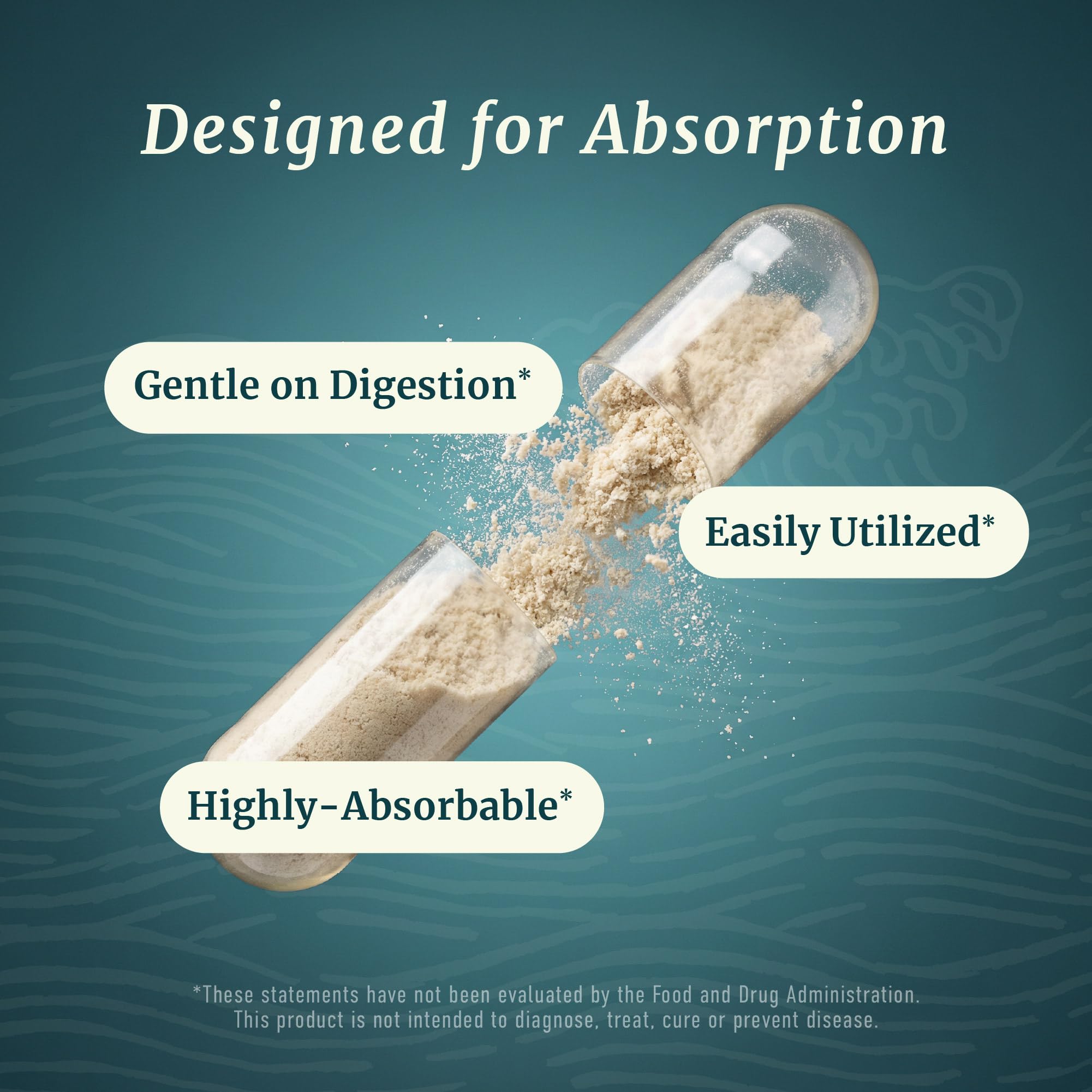 Nobi Nutrition textura del polvo de citrato para absorción visible