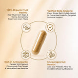 NooMost polvo de Lion's Mane y hojas de Ginkgo para origen natural