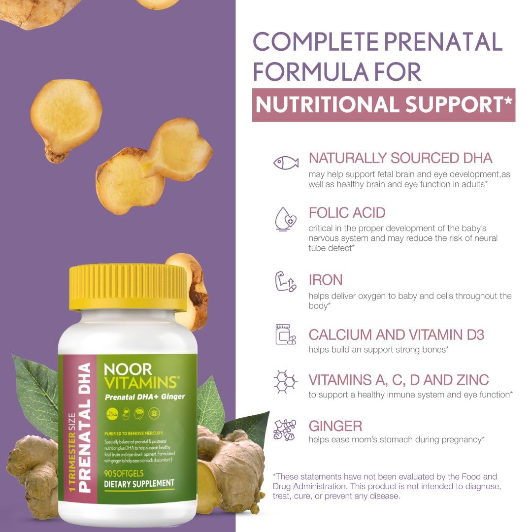 Noor Vitamins ingredientes aislados como DHA y jengibre visibles para claridad