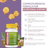 Noor Vitamins ingredientes aislados como DHA y jengibre visibles para claridad