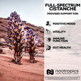 Nootropics Depot frasco abierto con polvo de Cistanche tubulosa, evidencia de ingredientes completos
