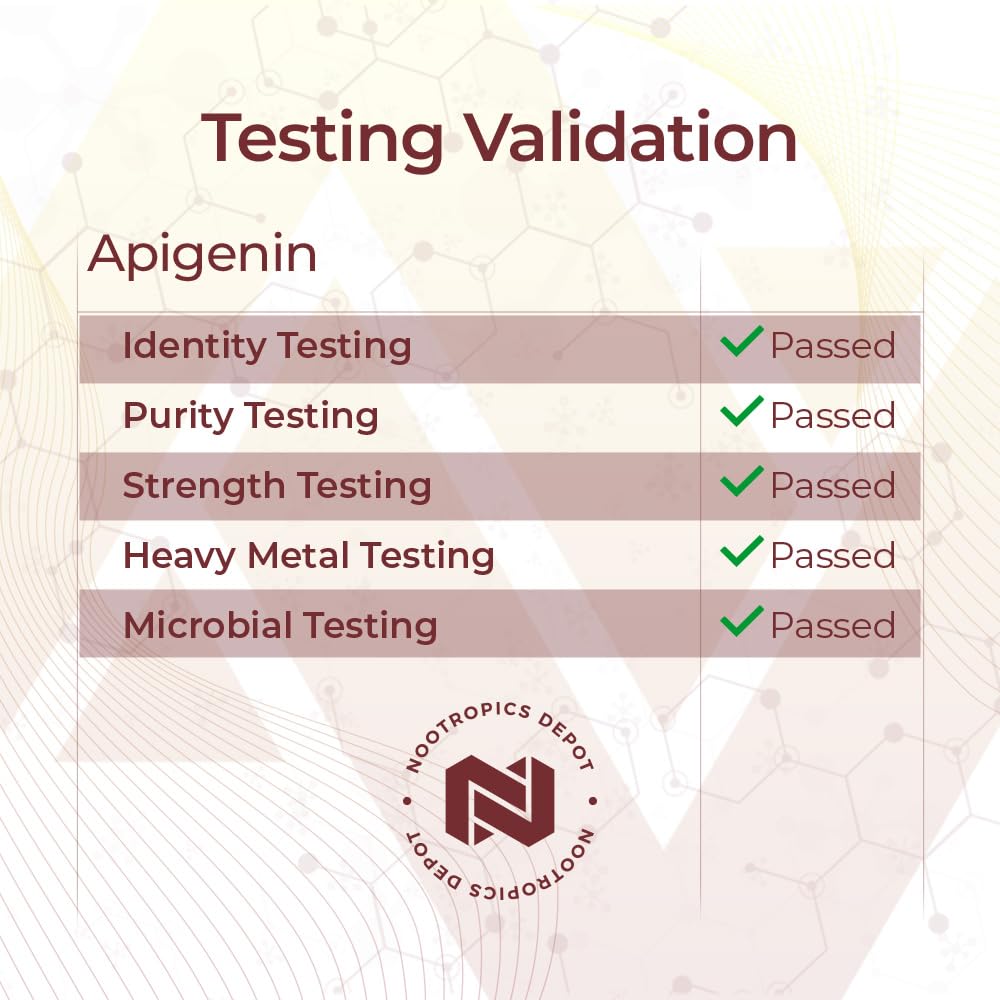 Nootropics Depot cápsula en escala comparativa mostrando tamaño real